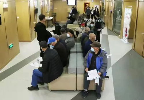 关爱银发，健康守护 老年人体检服务平台的创新与实践